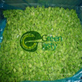 Dados de pimiento verde verduras congeladas IQF
